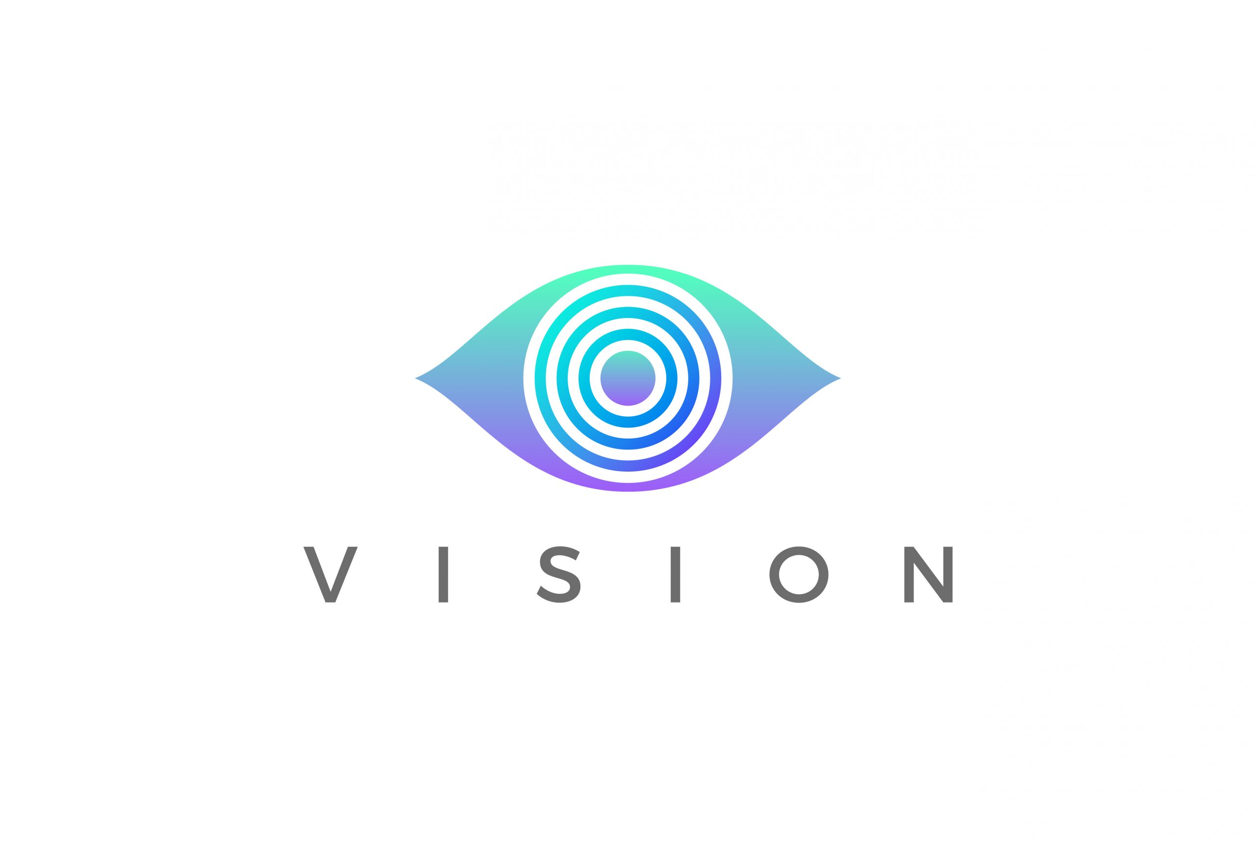 Vision